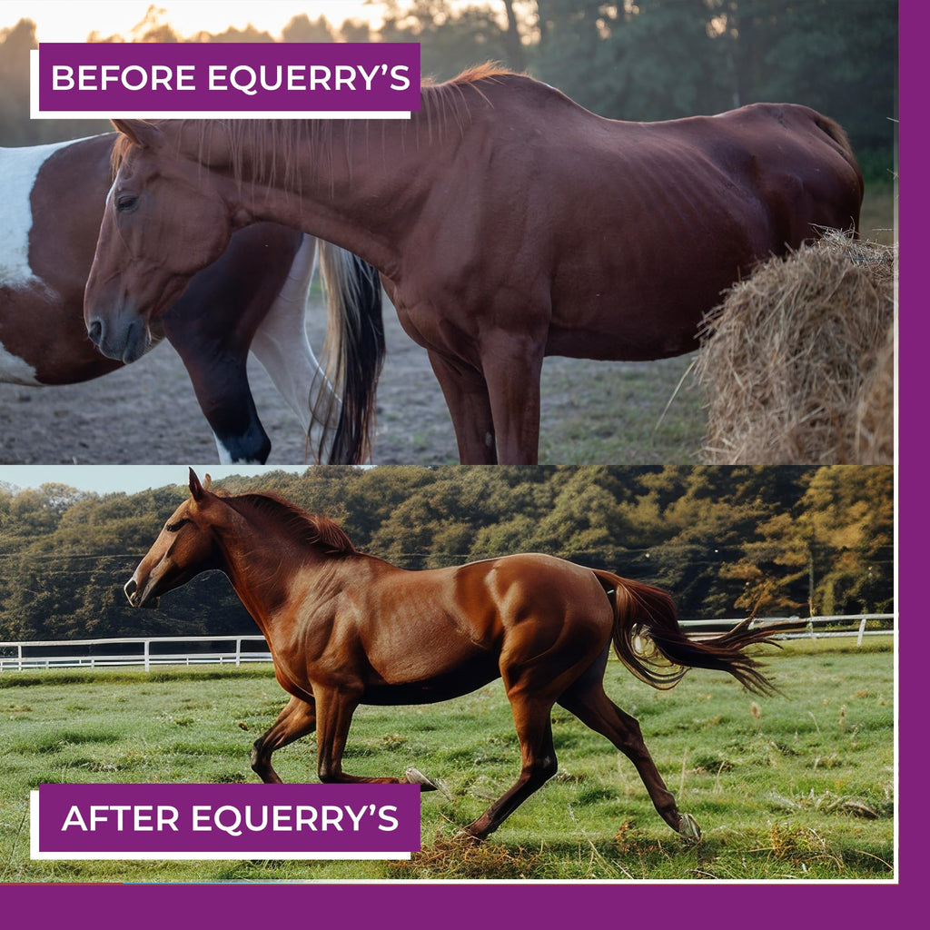 Equerry's Professional Hoof-GRO Equine Hoof Supplement for Horses, with Biotin, Digestive Enzymes, Probiotics, Supports Strong Healthy Hooves (5 lb)