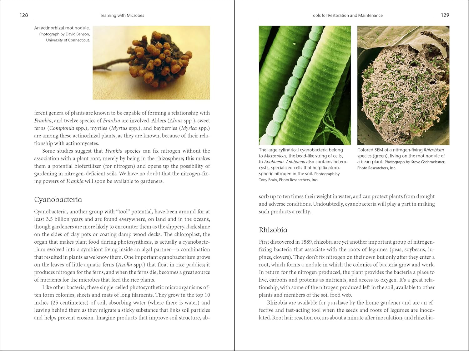 Teaming with Microbes: The Organic Gardener's Guide to the Soil Food Web, Revised Edition