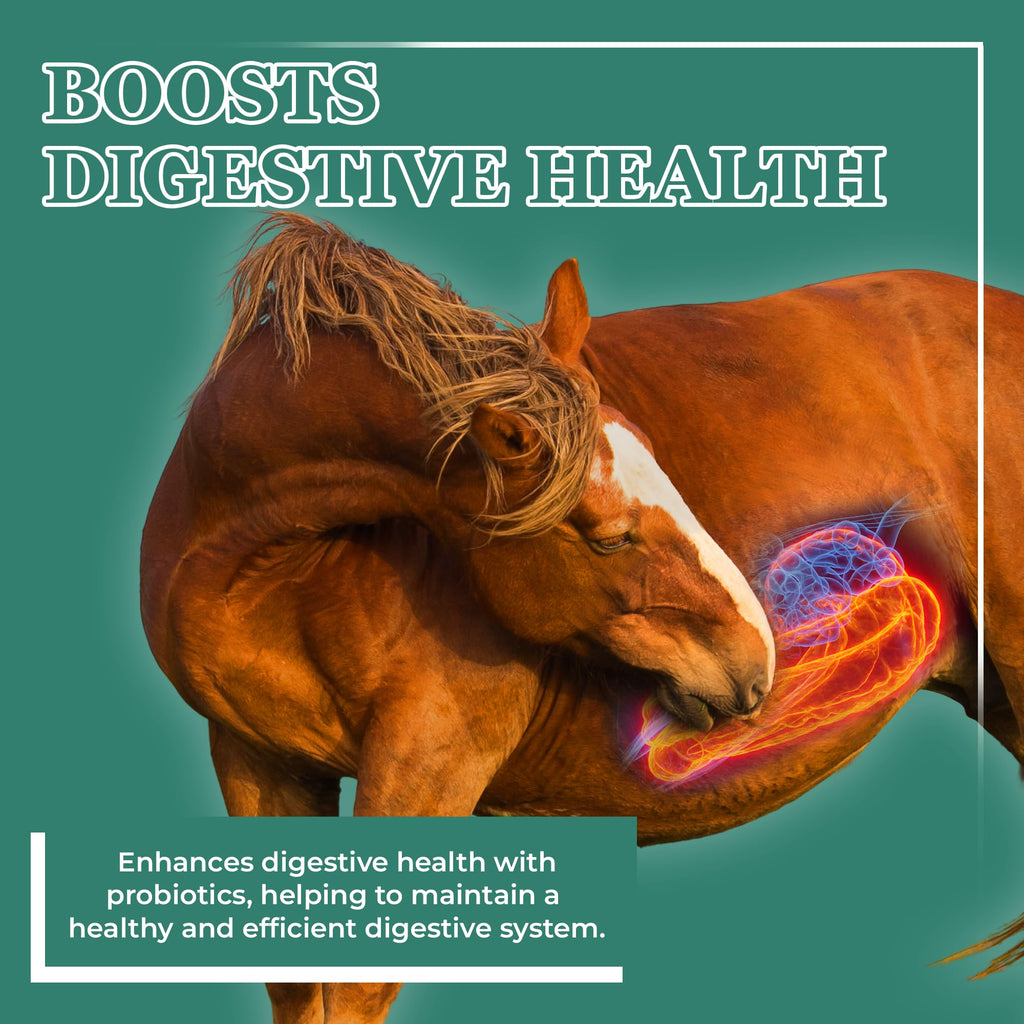 Equerry's Plus Horse Supplement - Enhanced Support with Probiotics for Digestion, Vitamins, and Minerals - Made in USA - 20 lb