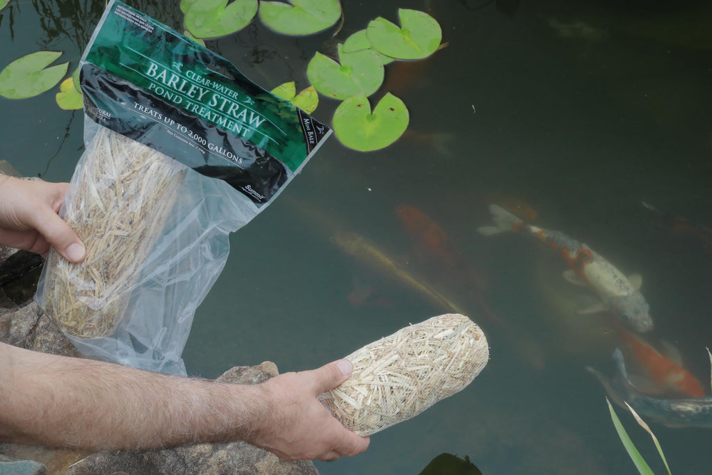 Summit Clear-Water Barley Straw Pond Treatment, 2-Pack, Treats upto 2000 Gallons, 1000 Gallons per Bale