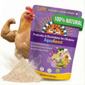 Buff Clucks AquaBoost Probiotic + Electrolyte Powder for Chickens – Natural Hydration & Gut Support Supplemnet for Daily Wellness & Egg Production - Safe for All Flocks & Ages - USA (8 oz)