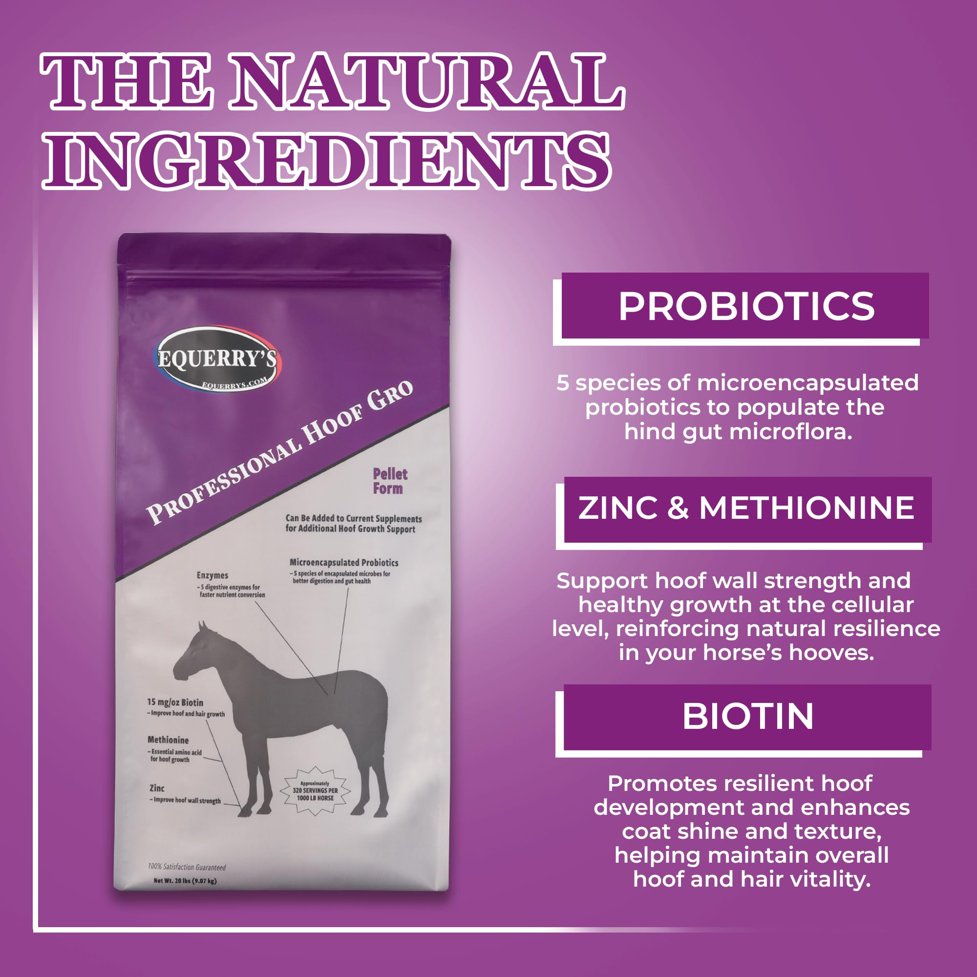 Equerry's Professional Hoof-GRO Equine Hoof Supplement for Horses, with Biotin, Digestive Enzymes, Probiotics, Supports Strong Healthy Hooves (5 lb)
