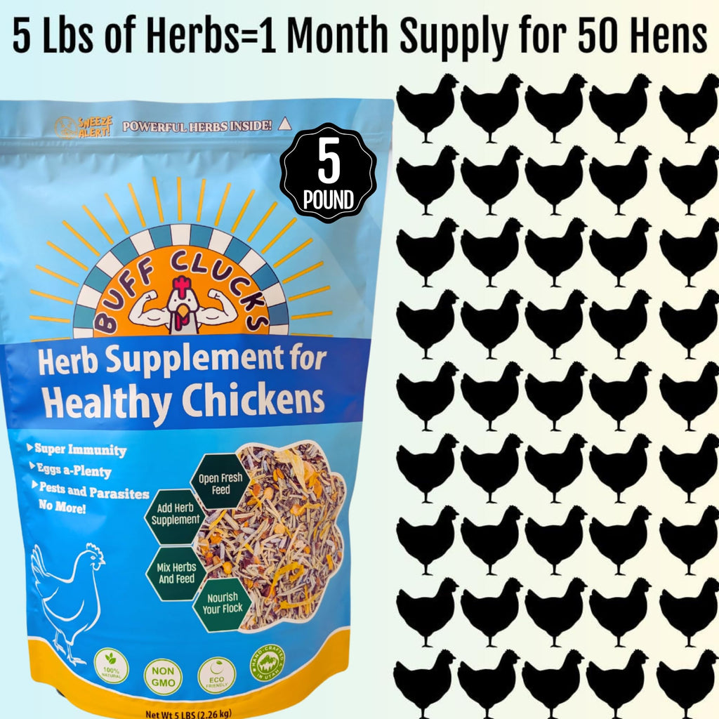 Buff Clucks Chick Formula Herbal Supplement for Baby Chicks – All-Natural Botanical Blend for Daily Wellness, Feather Quality – Plant-Based Herbs for Coop Snacks - Calendula, Oregano, Lemon Balm, USA