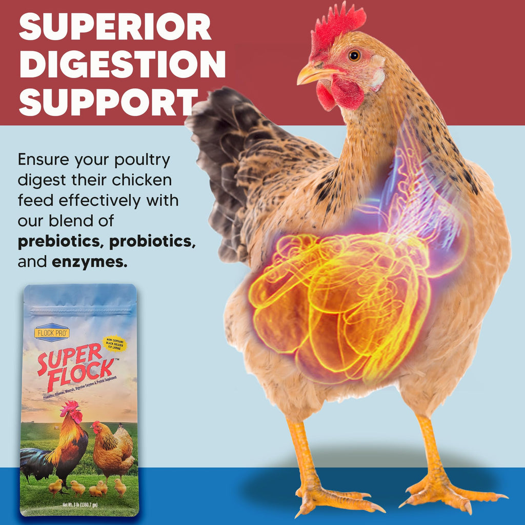 Super Flock Pro Boost Probiotic - Probiotics, Vitamins, Minerals and Electrolytes for Chickens | Chicken Vitamins and Supplements for All Poultry + 1lb