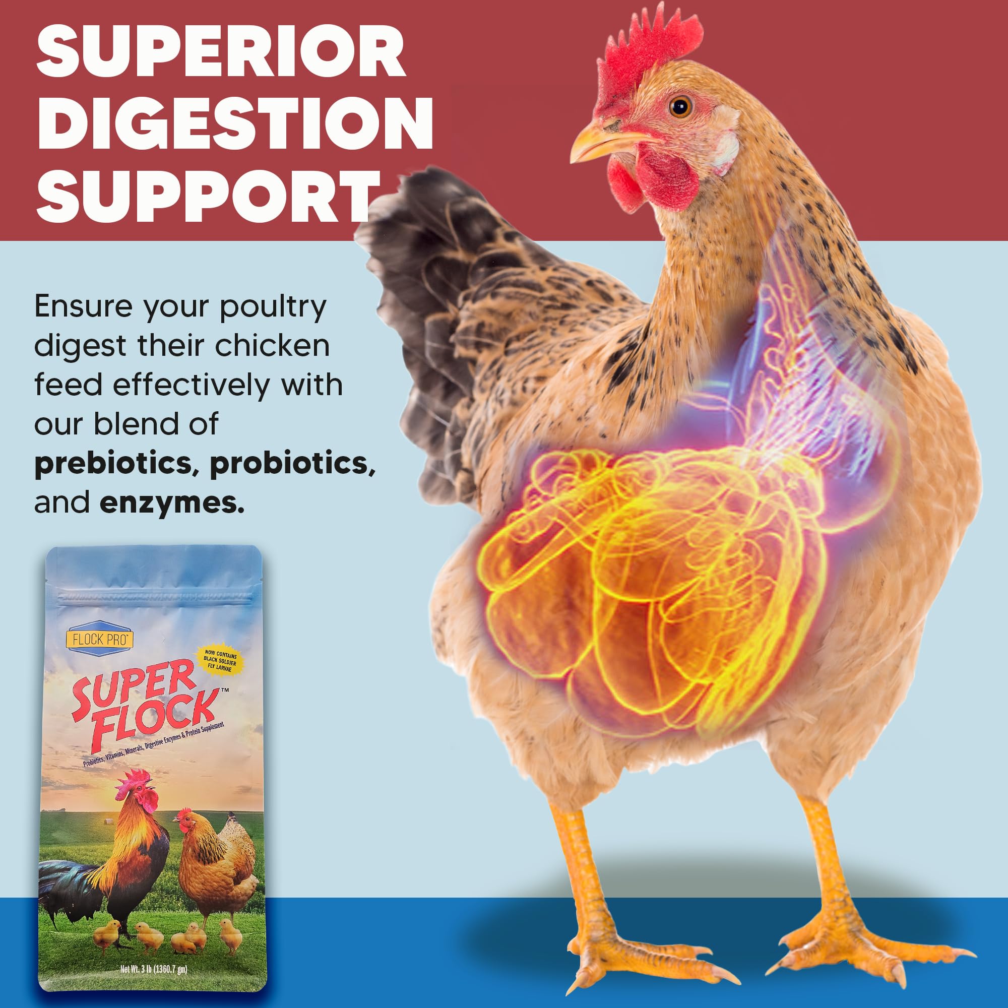 Super Flock Pro Boost Probiotic - Probiotics, Vitamins, Minerals and Electrolytes for Chickens | Chicken Vitamins and Supplements for All Poultry + 1lb