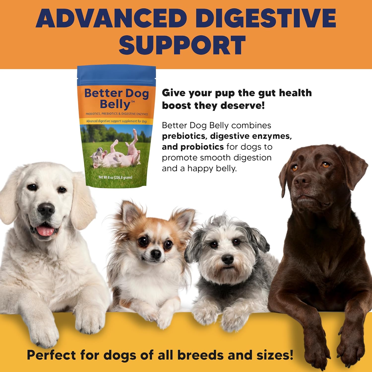 Better Dog Belly Probiotic Supplement for Digestive Health, Powder Prebiotics & Probiotics for Dogs, Supports Gut Health & Balanced Pet Nutrition, 8 Oz Bag