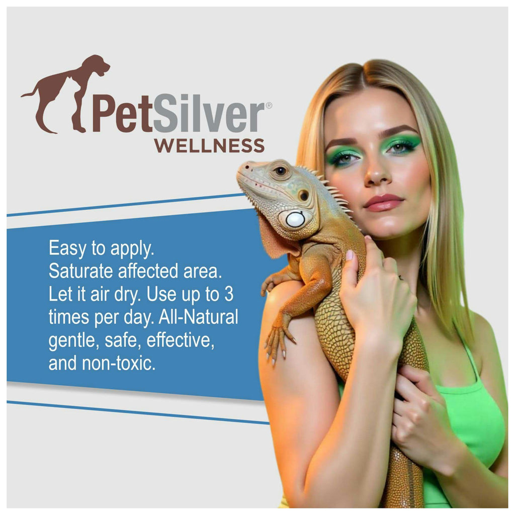 PetSilver Reptile Wound Spray with Chelated Silver – Reptile Wound Care for Snakes, Lizards, Geckos – Burns, Sores, Irritations & Scale Rot Treatment – Non-Toxic & Safe – Made in USA – 2 fl oz