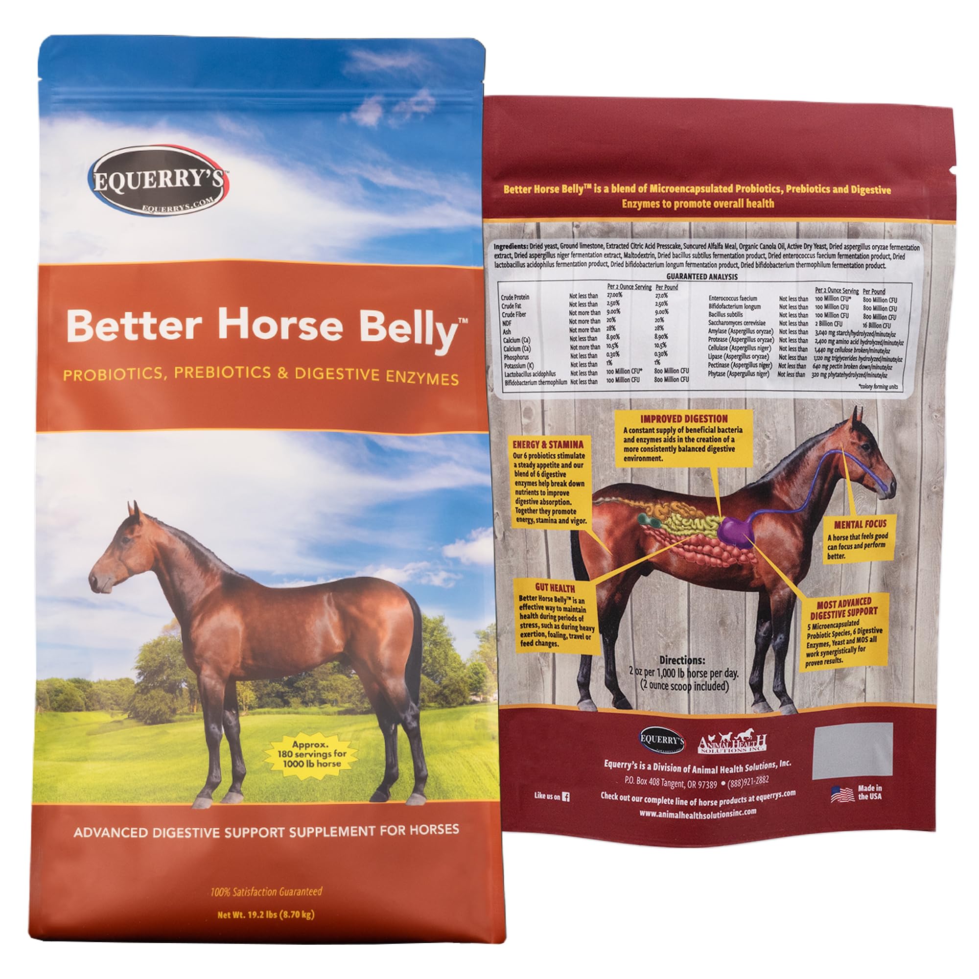EQUERRY'S Better Horse Belly – Gut Support Supplement with Probiotics, Prebiotics & Digestive Enzymes | for Colic and Digestive Upset, 1.1LB