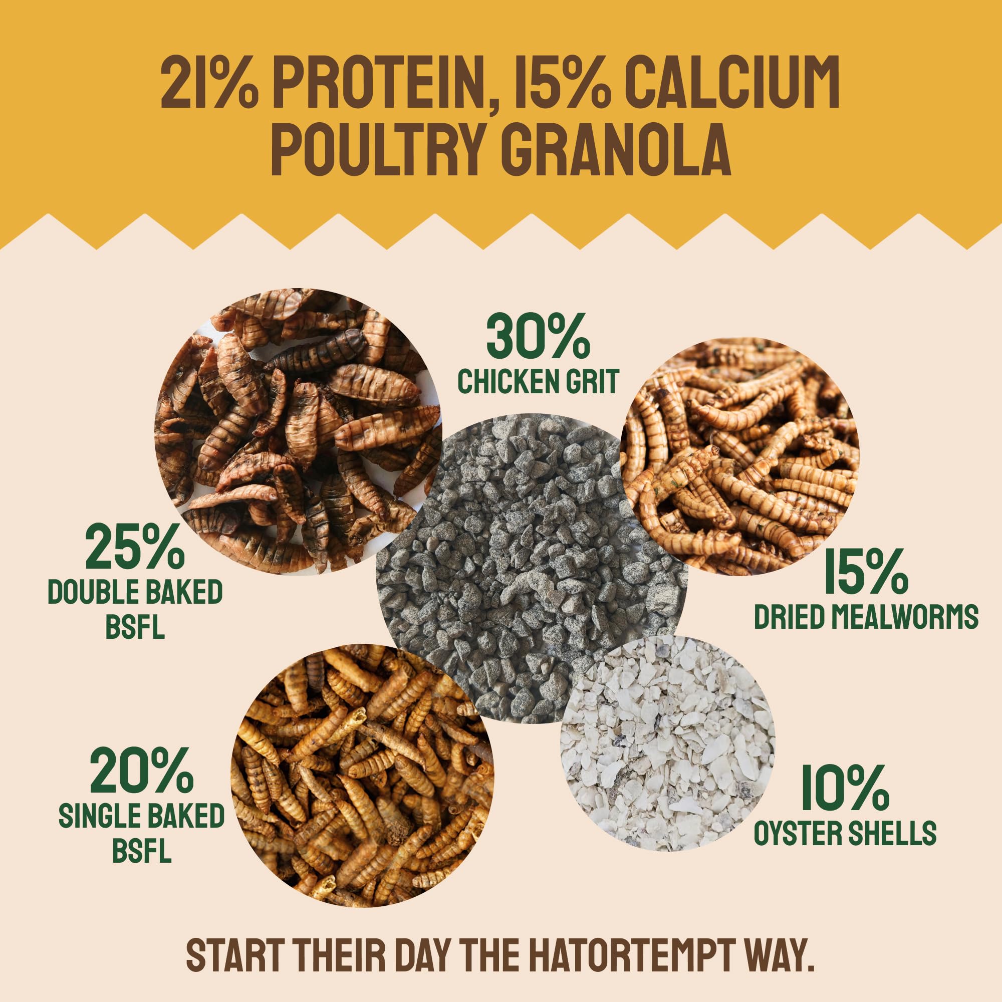 Hatortempt Grubs & Grits Chicken Feed Supplement - 5lb - with Chicken Grit, Mealworms, Black Fly Larvae and Oyster Shells - 21% Protein and 15% Calcium