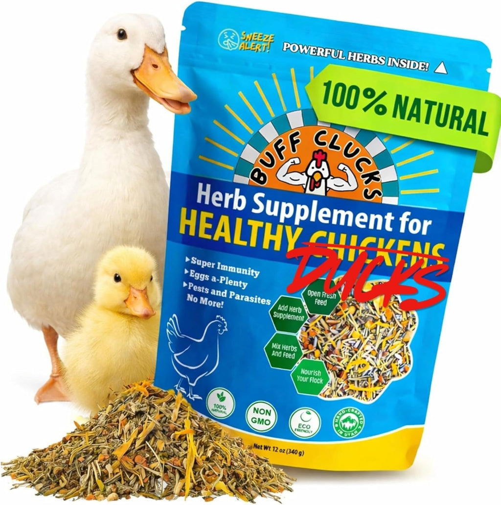Buff Clucks Herb Supplement for Ducks - Natural Waterfowl Treat, Botanical Duck Feed Additive, Plant-Based Flock Support for Egg Production, Feather Health & Daily Wellness, Handcrafted in USA (12 oz)