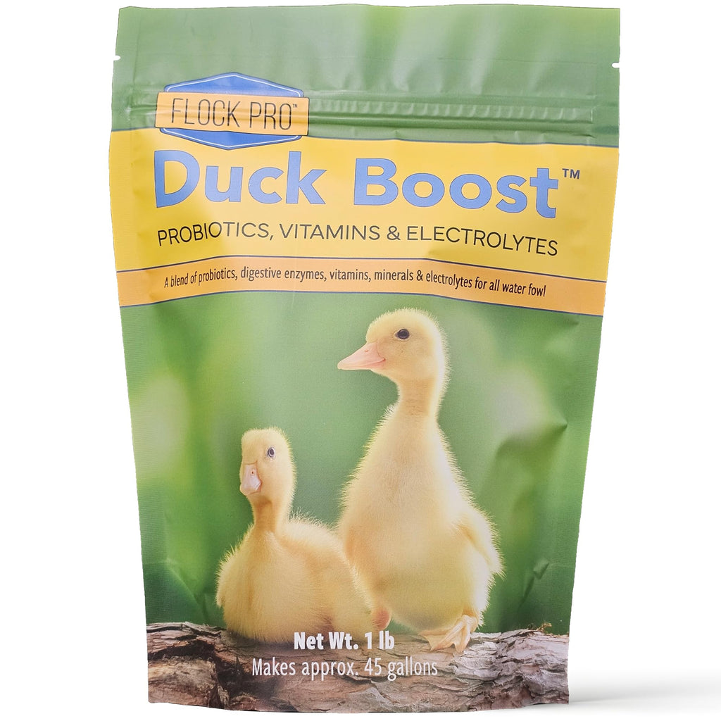 Duck Boost Probiotic - Probiotics, Vitamins, Minerals and Electrolytes for Chickens | Duck Vitamins and Supplements for All Poultry - 3oz