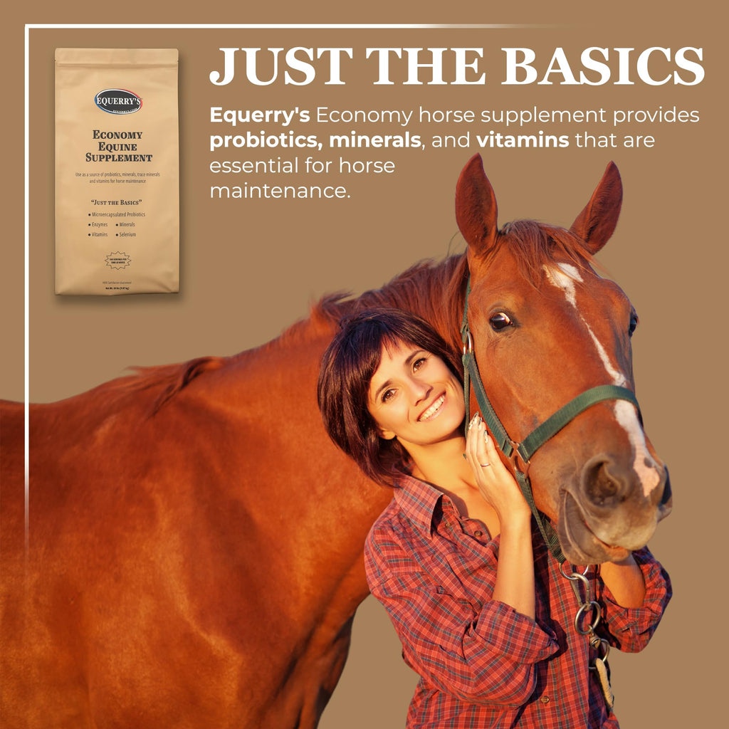 Equerry's Economy Equine Supplement - Horse Probiotics | Supplement for Horses | Horse Vitamins and Minerals Supplement with Enzymes and Selenium, 10lb