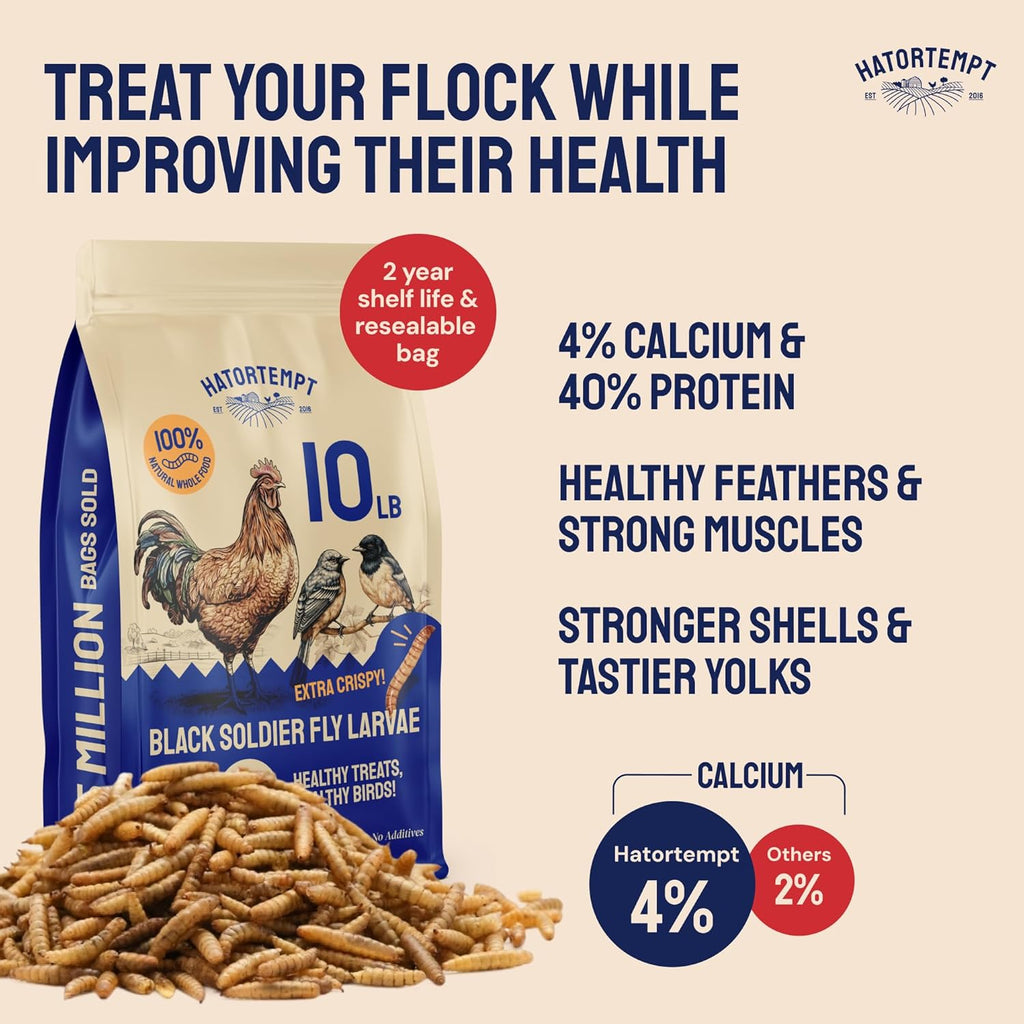 Hatortempt 10lb Dried Mealworms and 10lb Black Soldier Fly Larvae Bundle - High-Protein, High-Calcium Treat Duo for Chickens (2-Pack)