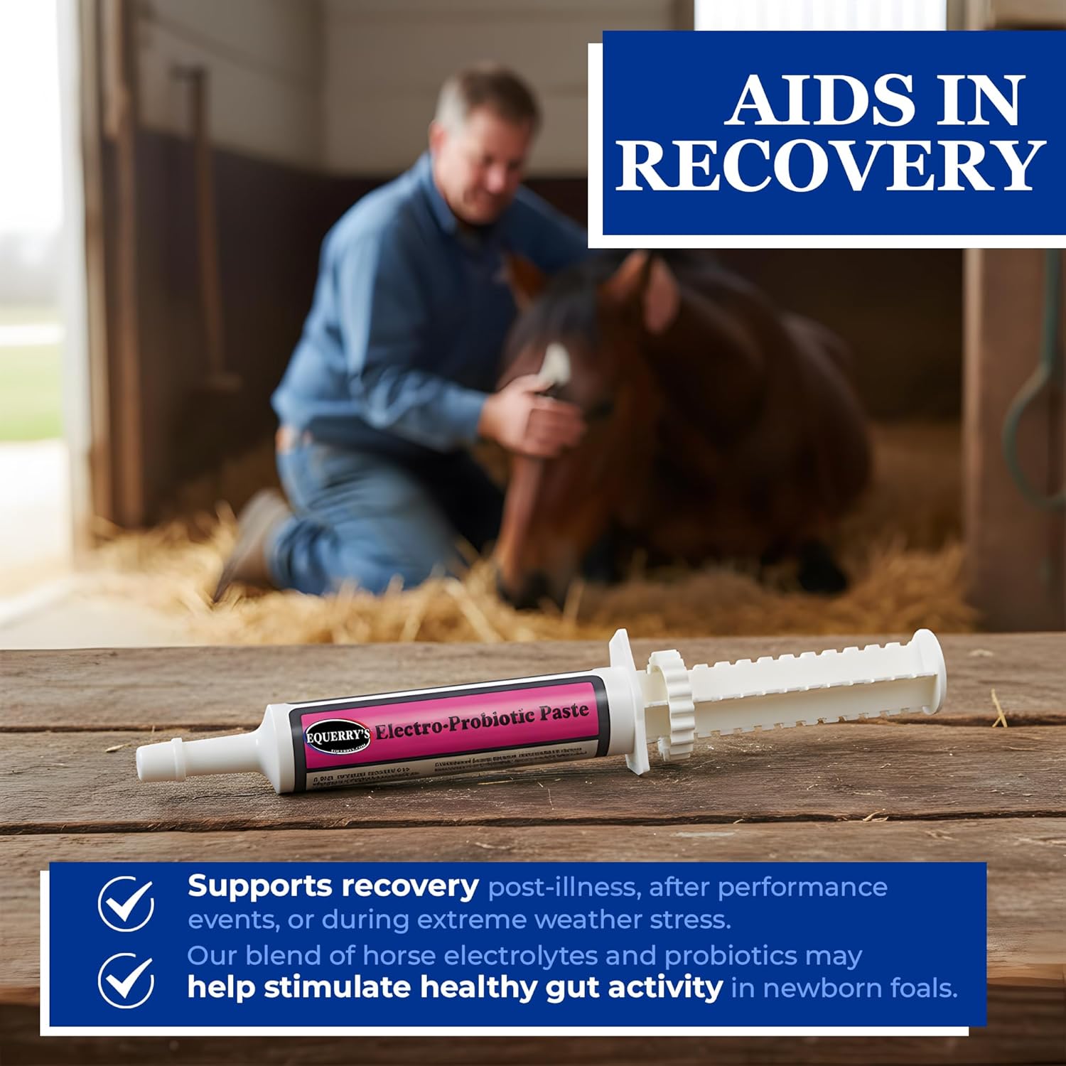 Equerry’s Electro-Probiotic Paste for Horses - 30g | Equine Probiotics & Electrolytes for Stressed Horses | Easy Oral Syringe | Made in USA