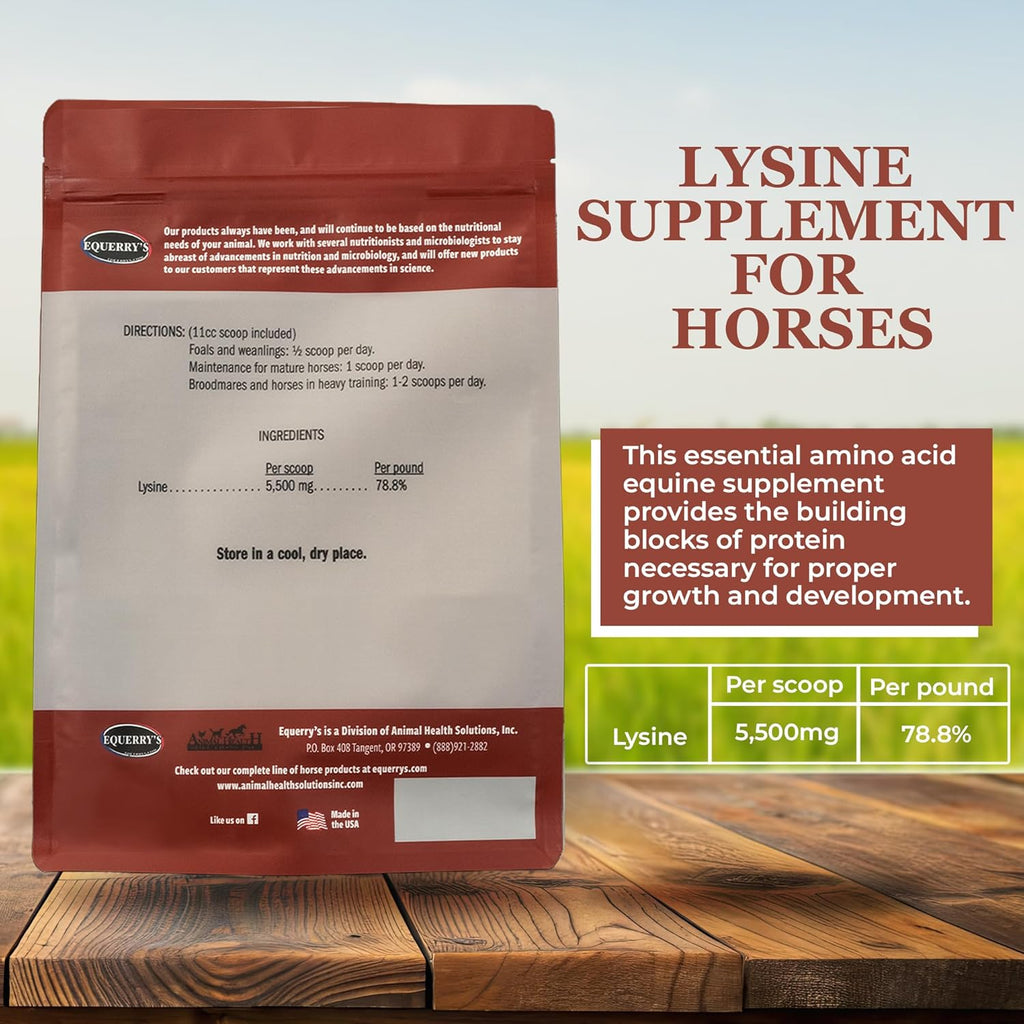 Equerry's Lysine Supplement for Horses | Lysine Powder Supplement for Muscle Support and Immune Health | Balances Forage-Based Diets | 5Ib Bag