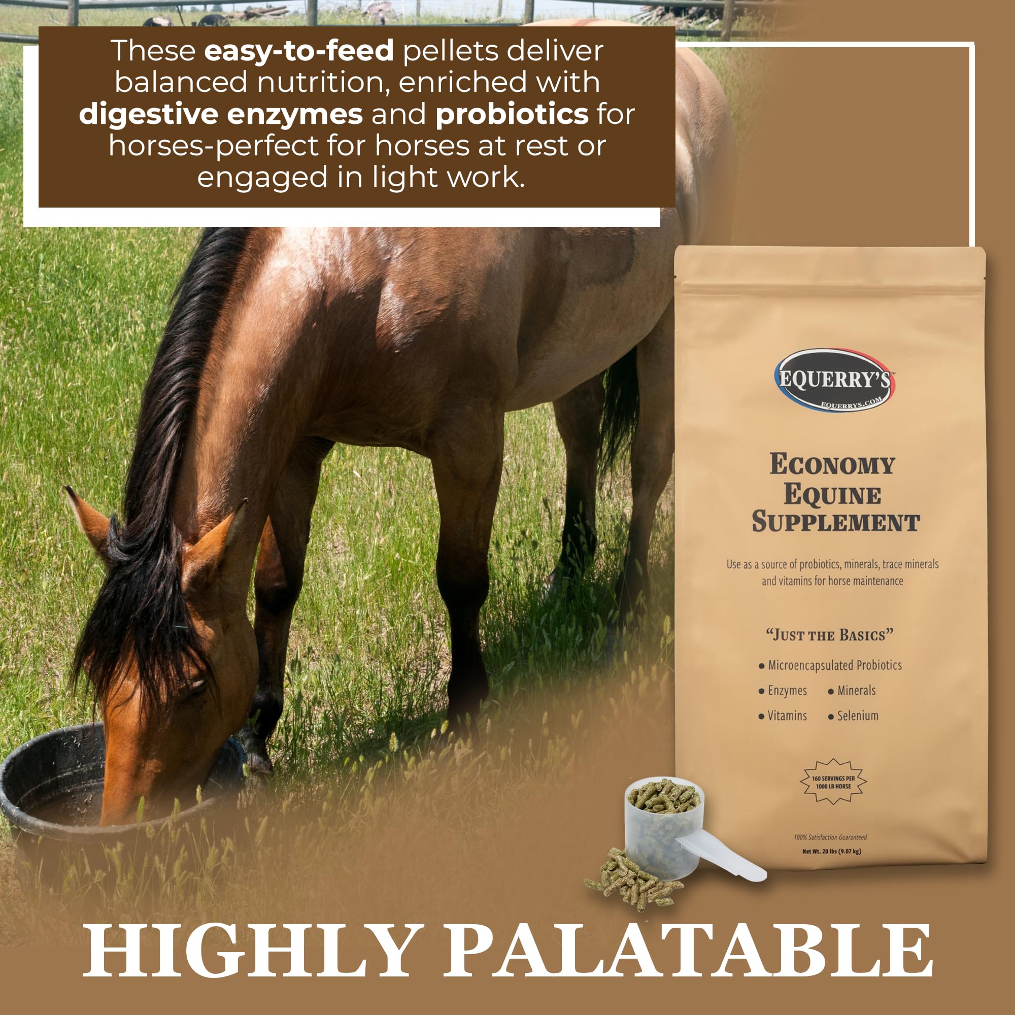 Equerry's Economy Equine Supplement - Horse Probiotics | Supplement for Horses | Horse Vitamins and Minerals Supplement with Enzymes and Selenium, 10lb
