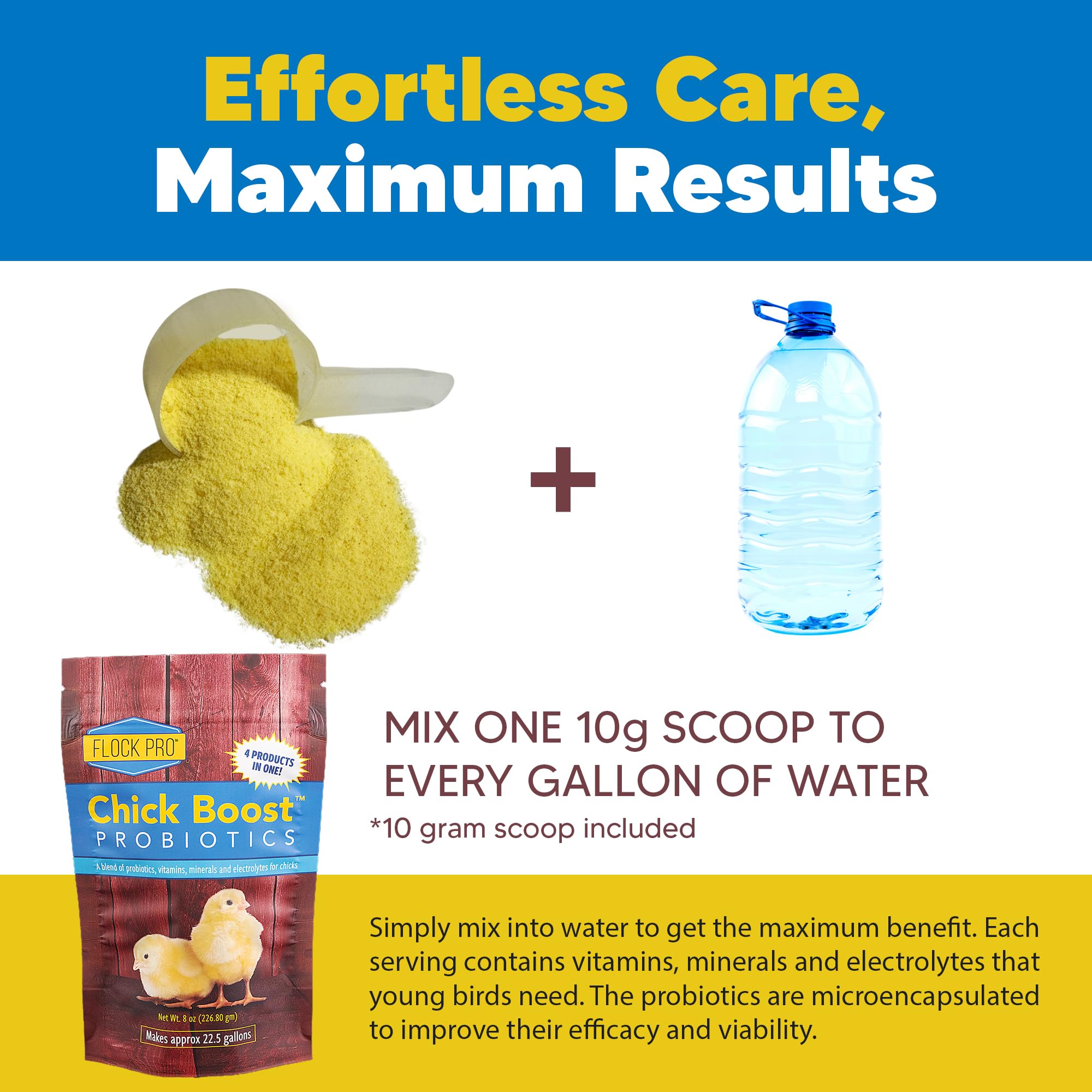 Equerry's Flock PRO Chick Boost Probiotic - Probiotics, Vitamins, Minerals and Electrolytes for Chickens | Chicken Vitamins and Supplements for All Poultry - 8oz