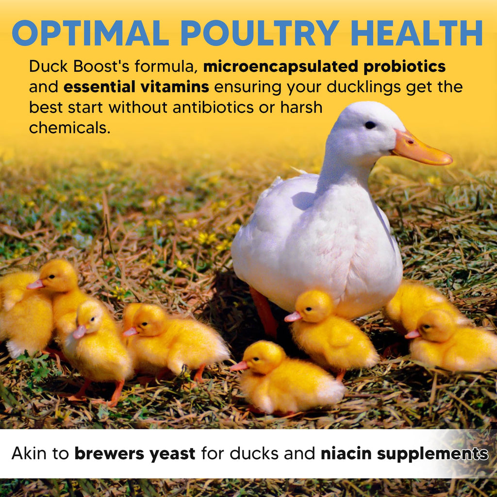 Duck Boost Probiotic - Probiotics, Vitamins, Minerals and Electrolytes for Chickens | Duck Vitamins and Supplements for All Poultry - 8oz