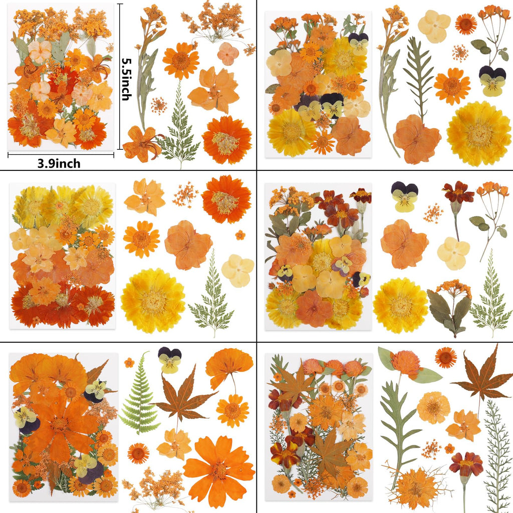 NESCCI 420 Pcs Dried Pressed Flowers for Resin,Real Nature Dried Flowers for Crafts Bulk Dry Flowers Leaves Kit Used for Resin Molds Scrapbooking DIY Art Crafts Candle Soap Making Nails Décor