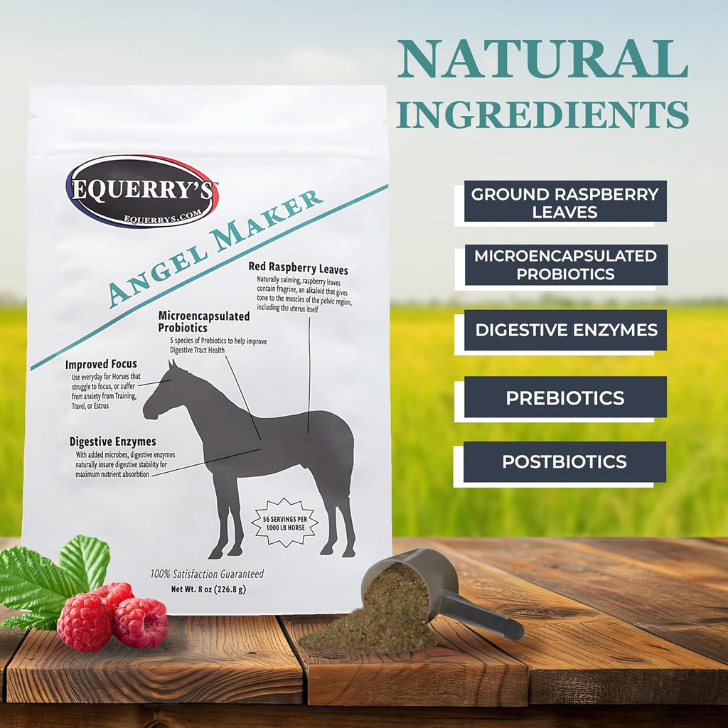 EQUERRY'S Angel Maker, Raspberry Leaf, Microencapsulated Probiotics Supplement for Horse Ulcer Treatment & Digestive Health Calmness & Focus 8 oz