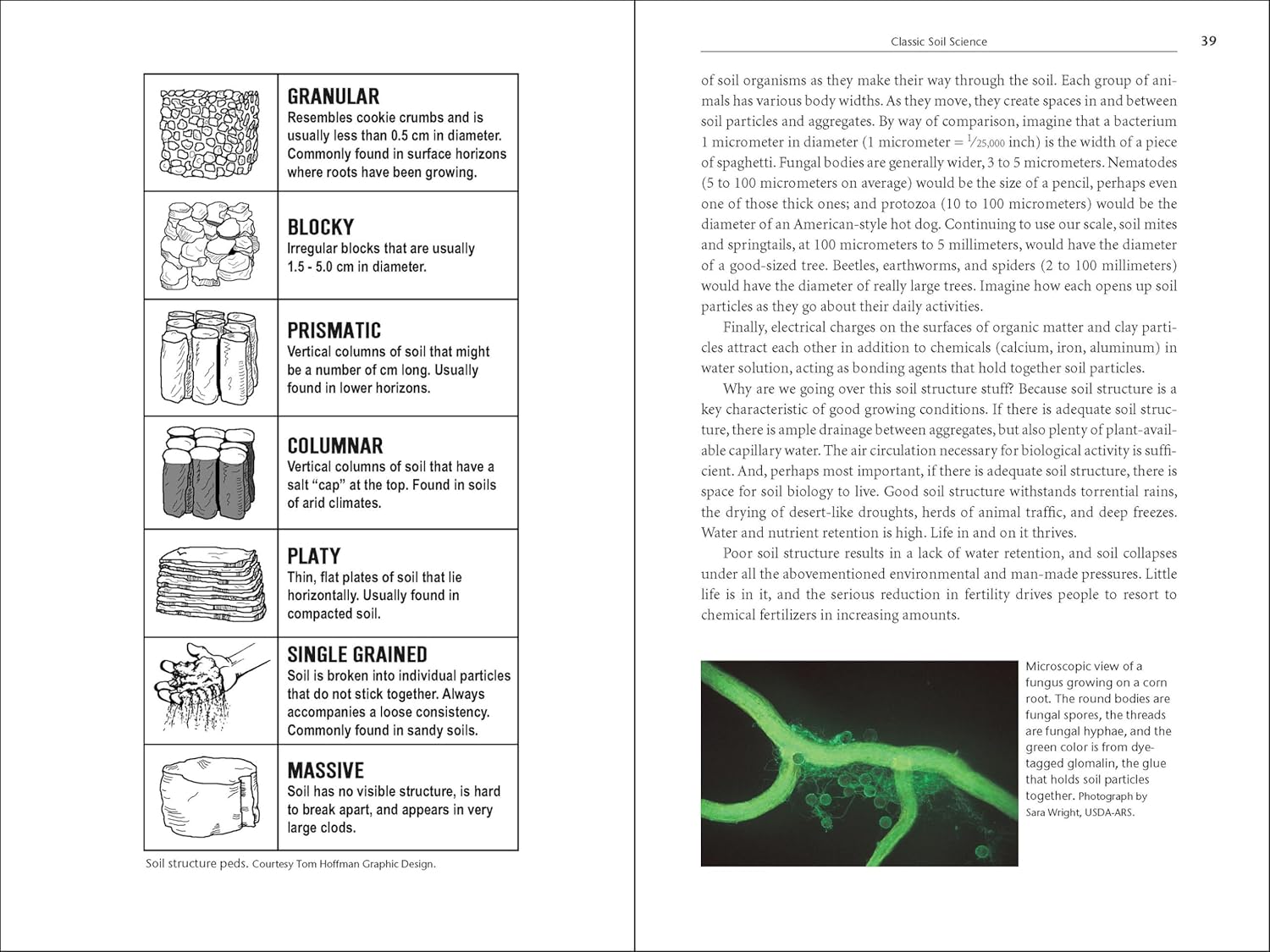 Teaming with Microbes: The Organic Gardener's Guide to the Soil Food Web, Revised Edition