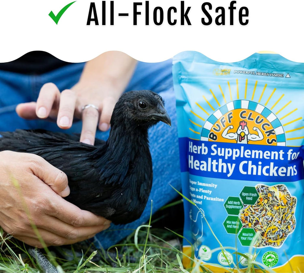 Buff Clucks Chicken Herb Supplement Mix – Large Bundle | Garden-Fresh Botanical Treat & Nesting Box Topper for Backyard Chickens, Ducks & Quail | Aromatic Oregano, Calendula, Basil, Lavender