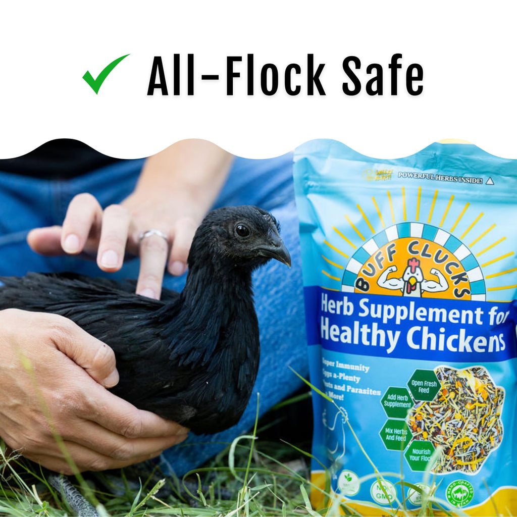 Buff Clucks Chick Formula Herbal Supplement for Baby Chicks – All-Natural Botanical Blend for Daily Wellness, Feather Quality – Plant-Based Herbs for Coop Snacks - Calendula, Oregano, Lemon Balm, USA