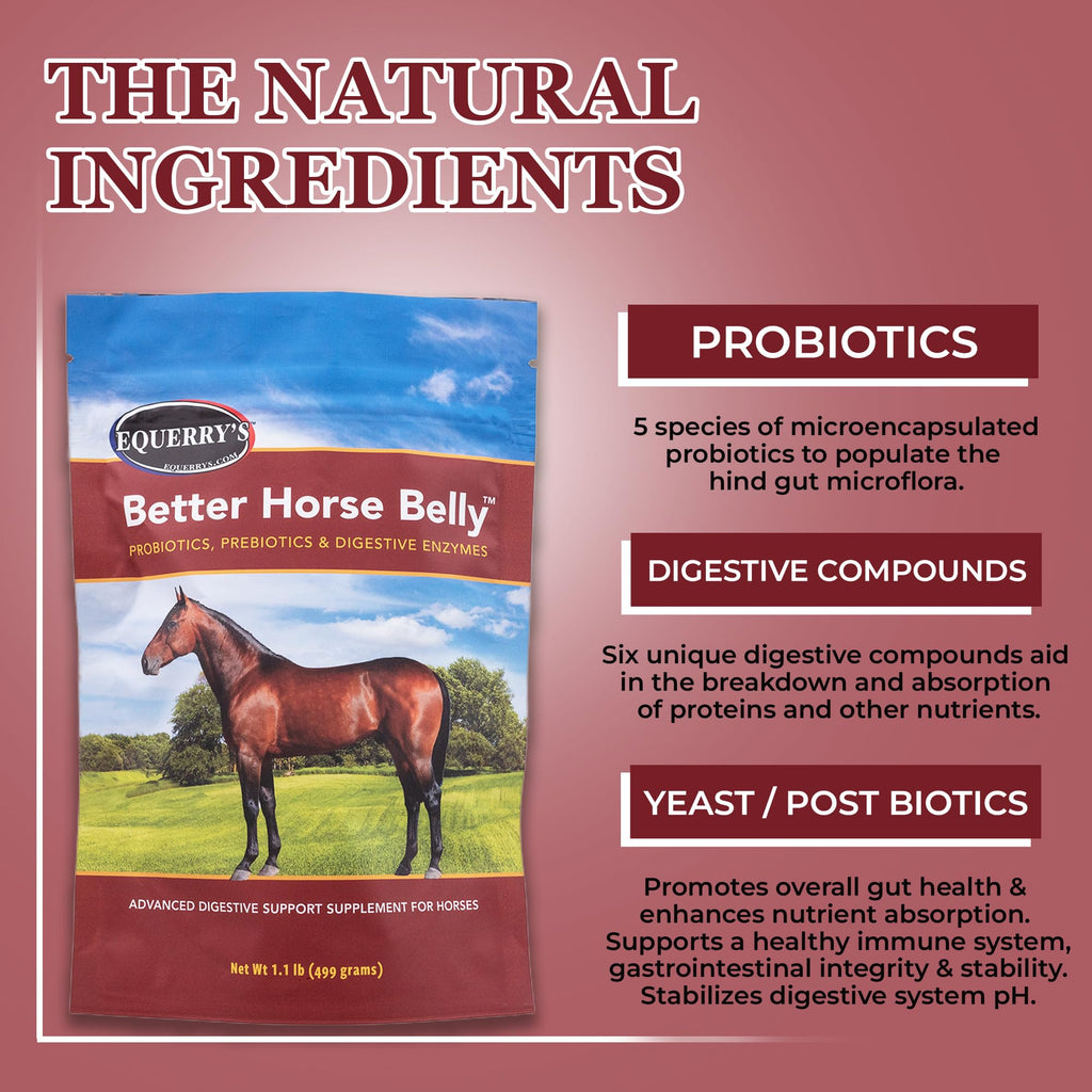 EQUERRY'S Better Horse Belly – Gut Support Supplement with Probiotics, Prebiotics & Digestive Enzymes | for Colic and Digestive Upset, 1.1LB
