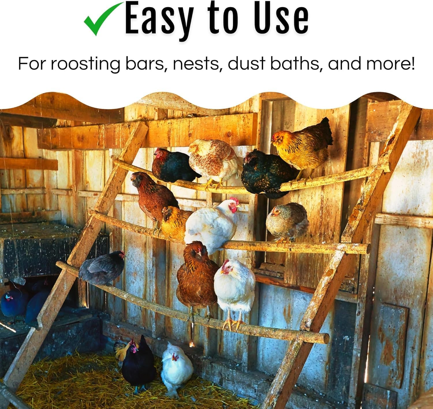 Buff Clucks Dust Bath Herb Blend for Chickens - Keep Feathers Clean & Healthy - Food Grade, Natural Nesting Box Herbs for Bedding, Coop Floor, USA (5 LB)