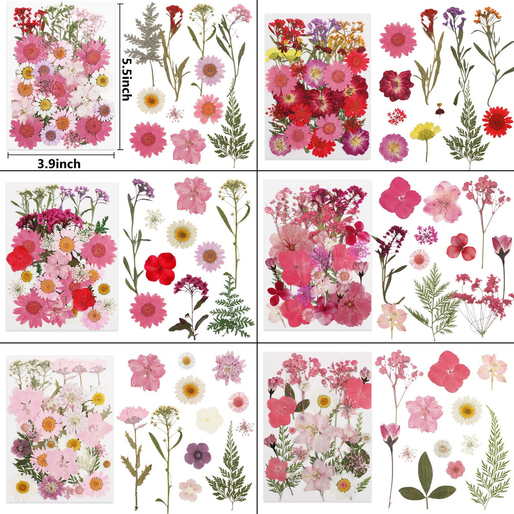 NESCCI 420 Pcs Dried Pressed Flowers for Resin,Real Nature Dried Flowers for Crafts Bulk Dry Flowers Leaves Kit Used for Resin Molds Scrapbooking DIY Art Crafts Candle Soap Making Nails Décor