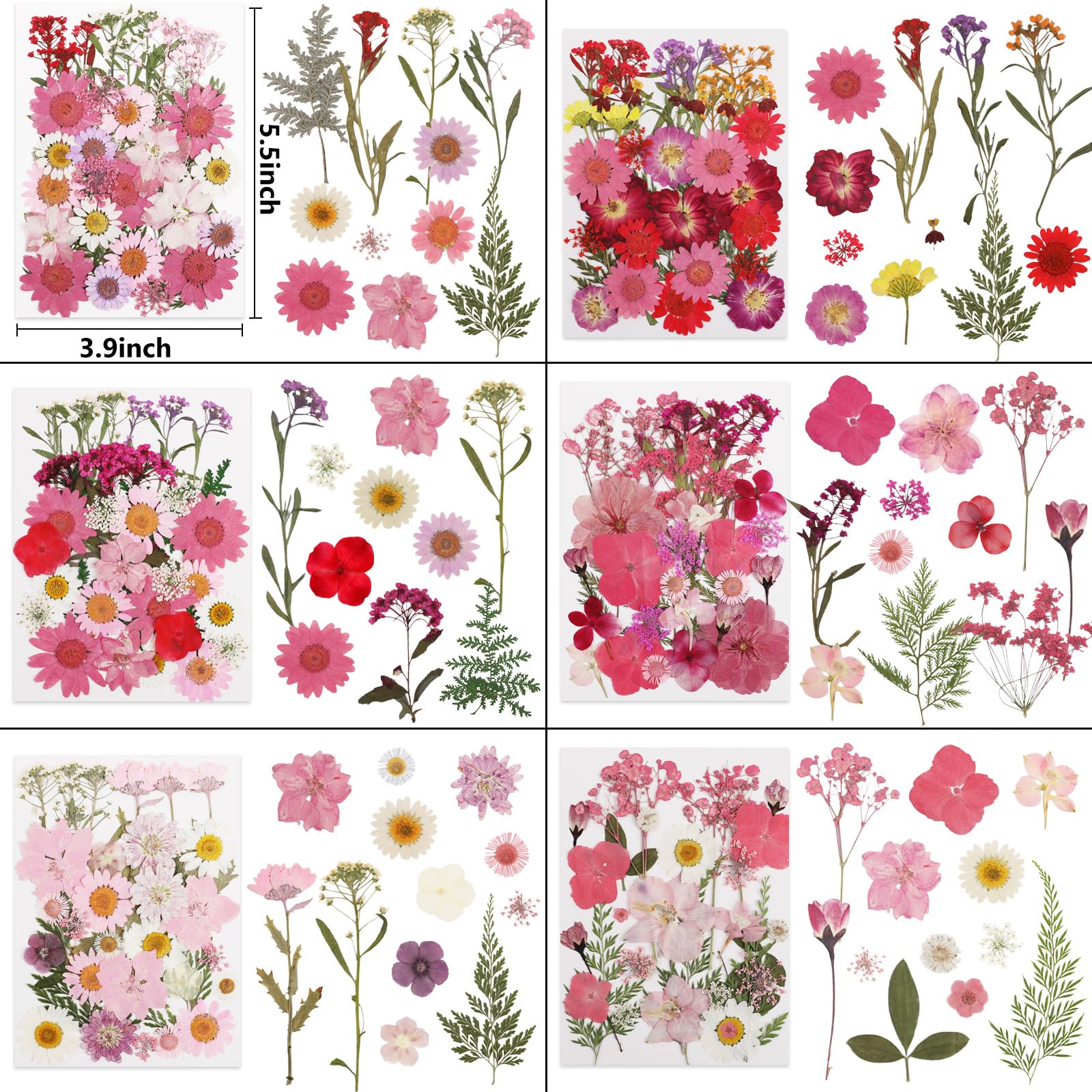 NESCCI 420 Pcs Dried Pressed Flowers for Resin,Real Nature Dried Flowers for Crafts Bulk Dry Flowers Leaves Kit Used for Resin Molds Scrapbooking DIY Art Crafts Candle Soap Making Nails Décor