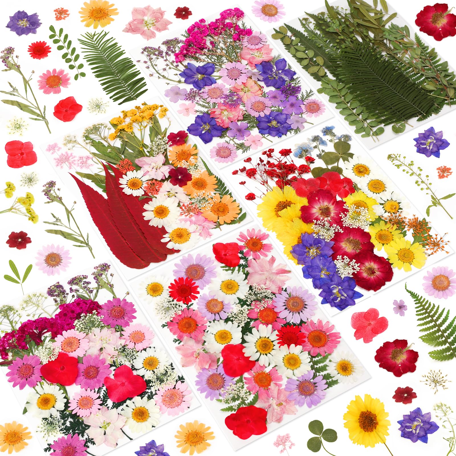 NESCCI 420 Pcs Dried Pressed Flowers for Resin,Real Nature Dried Flowers for Crafts Bulk Dry Flowers Leaves Kit Used for Resin Molds Scrapbooking DIY Art Crafts Candle Soap Making Nails Décor