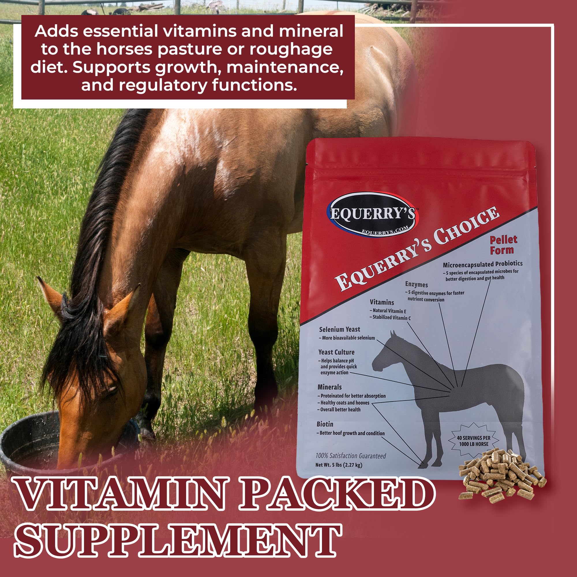 Equerry's Choice Horse Pellets - Complete Nutritional Supplement | Digestive Enzymes | Chelated Vitamins and Minerals | Horse Supplements | 5 lb