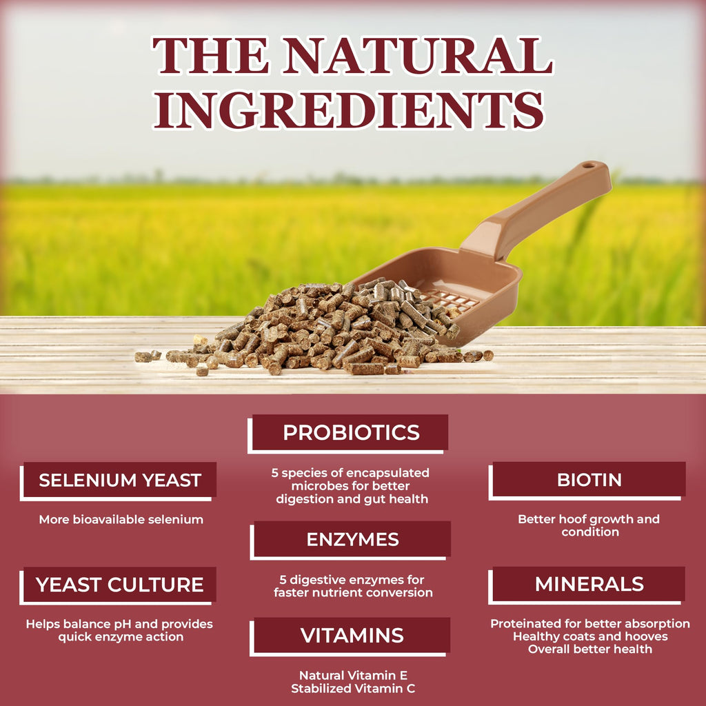 Equerry's Choice Horse Pellets - Complete Nutritional Supplement | Digestive Enzymes | Chelated Vitamins and Minerals | Horse Supplements | 5 lb