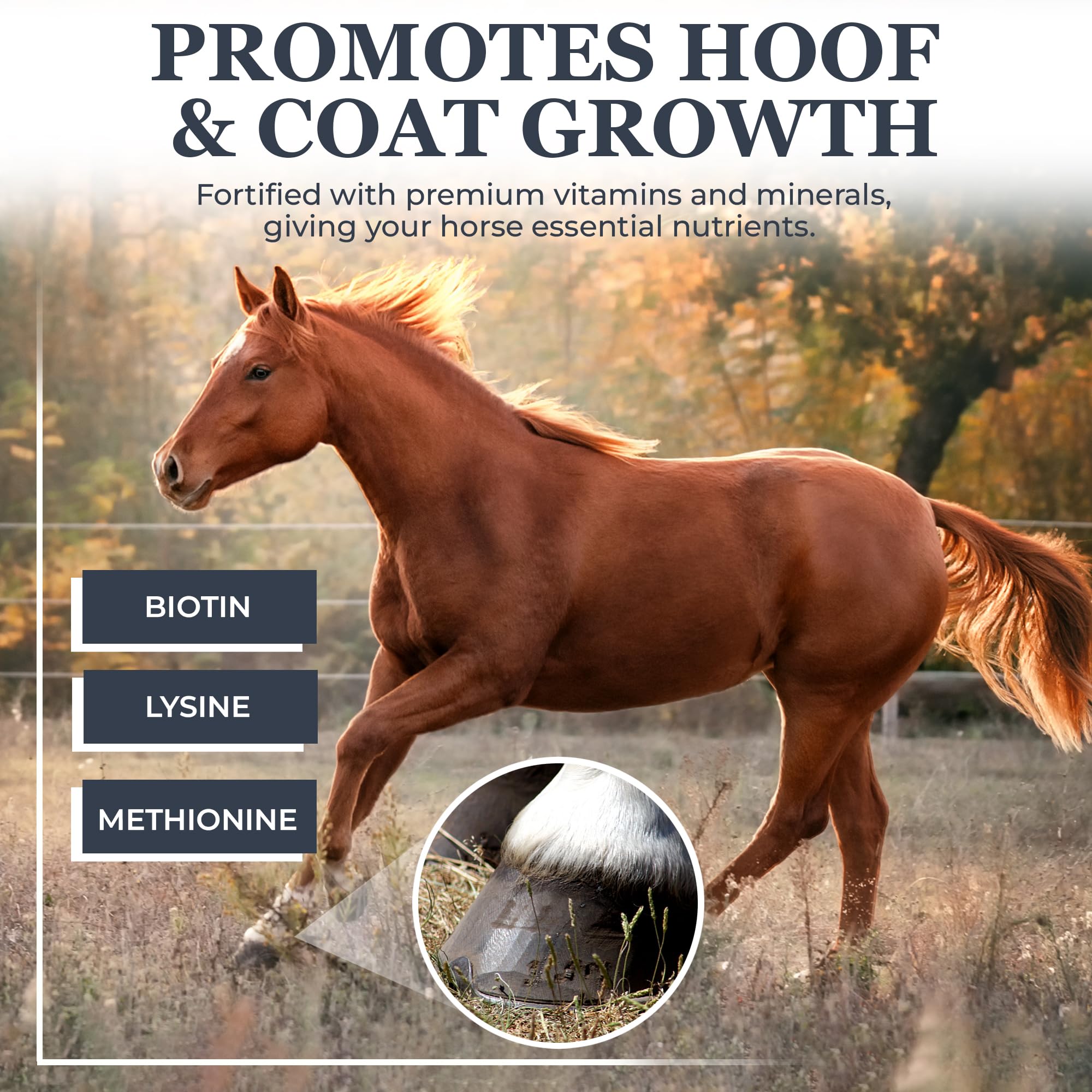 Equerry's Combined RX 4 Way | Equine Nutritional Support | Complete Formula | Digestive and Joint Support | Hoof & Hair | Probiotics Vitamins & Minerals 160 Feedings, 20lb.