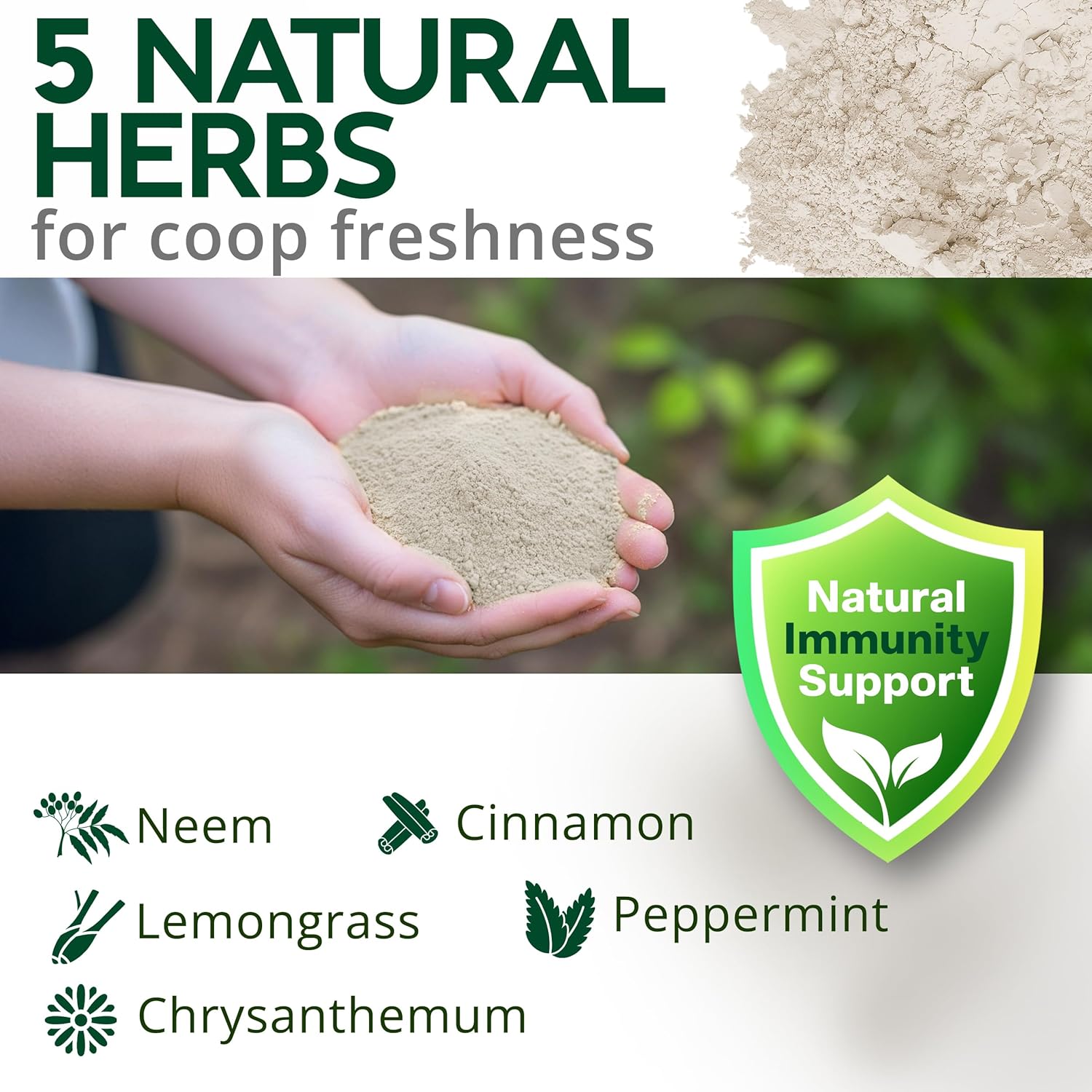Buff Clucks Dust Bath Herb Blend for Chickens - Keep Feathers Clean & Healthy - Food Grade, Natural Nesting Box Herbs for Bedding, Coop Floor, USA (12 oz)