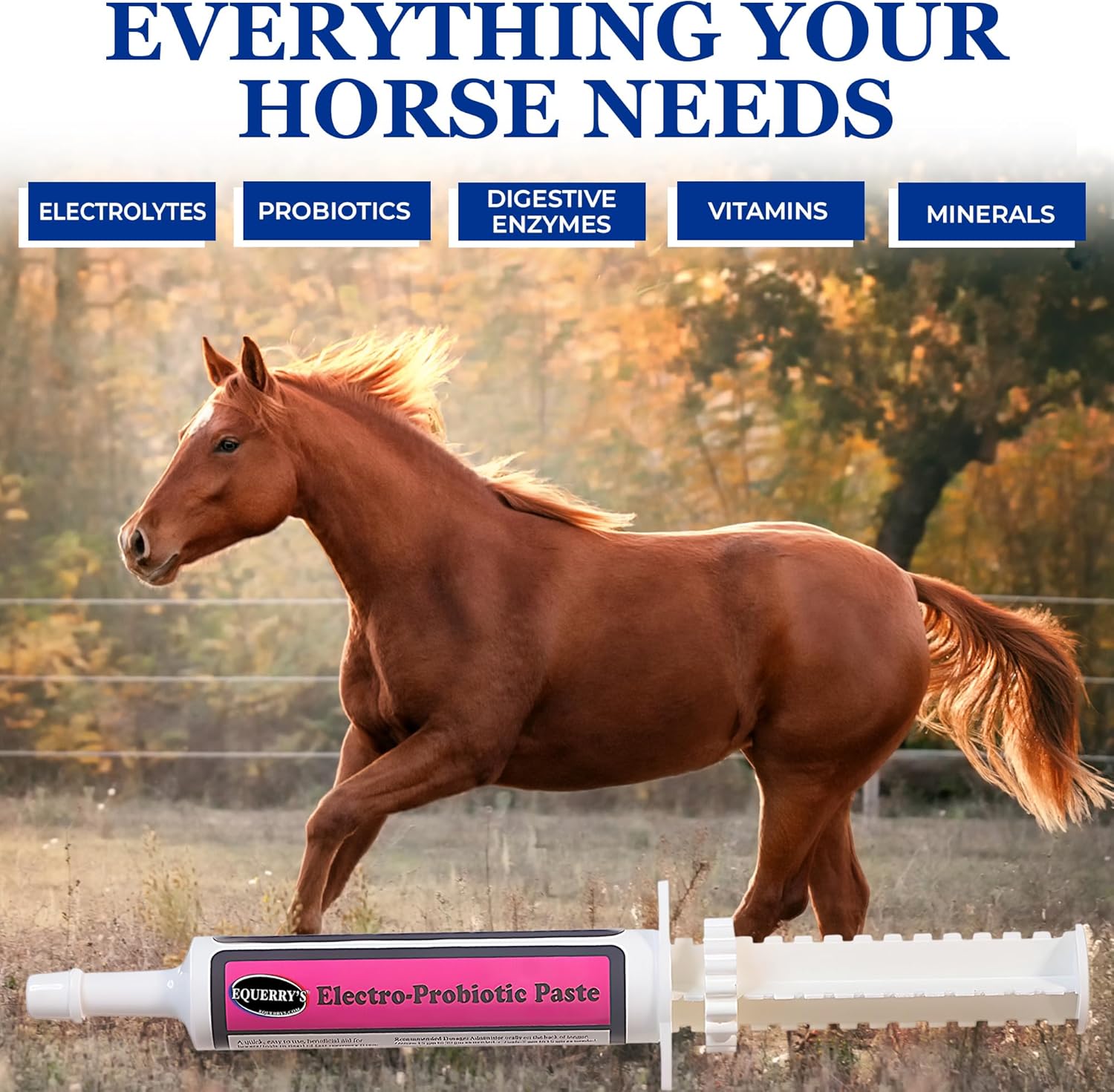 Equerry’s Electro-Probiotic Paste for Horses - 30g | Equine Probiotics & Electrolytes for Stressed Horses | Easy Oral Syringe | Made in USA