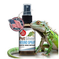 PetSilver Reptile Wound Spray with Chelated Silver – Reptile Wound Care for Snakes, Lizards, Geckos – Burns, Sores, Irritations & Scale Rot Treatment – Non-Toxic & Safe – Made in USA – 2 fl oz