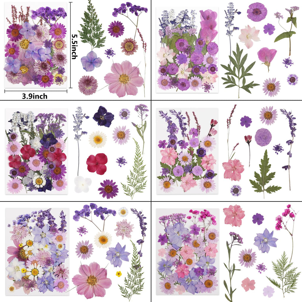 NESCCI 420 Pcs Dried Pressed Flowers for Resin,Real Nature Dried Flowers for Crafts Bulk Dry Flowers Leaves Kit Used for Resin Molds Scrapbooking DIY Art Crafts Candle Soap Making Nails Décor