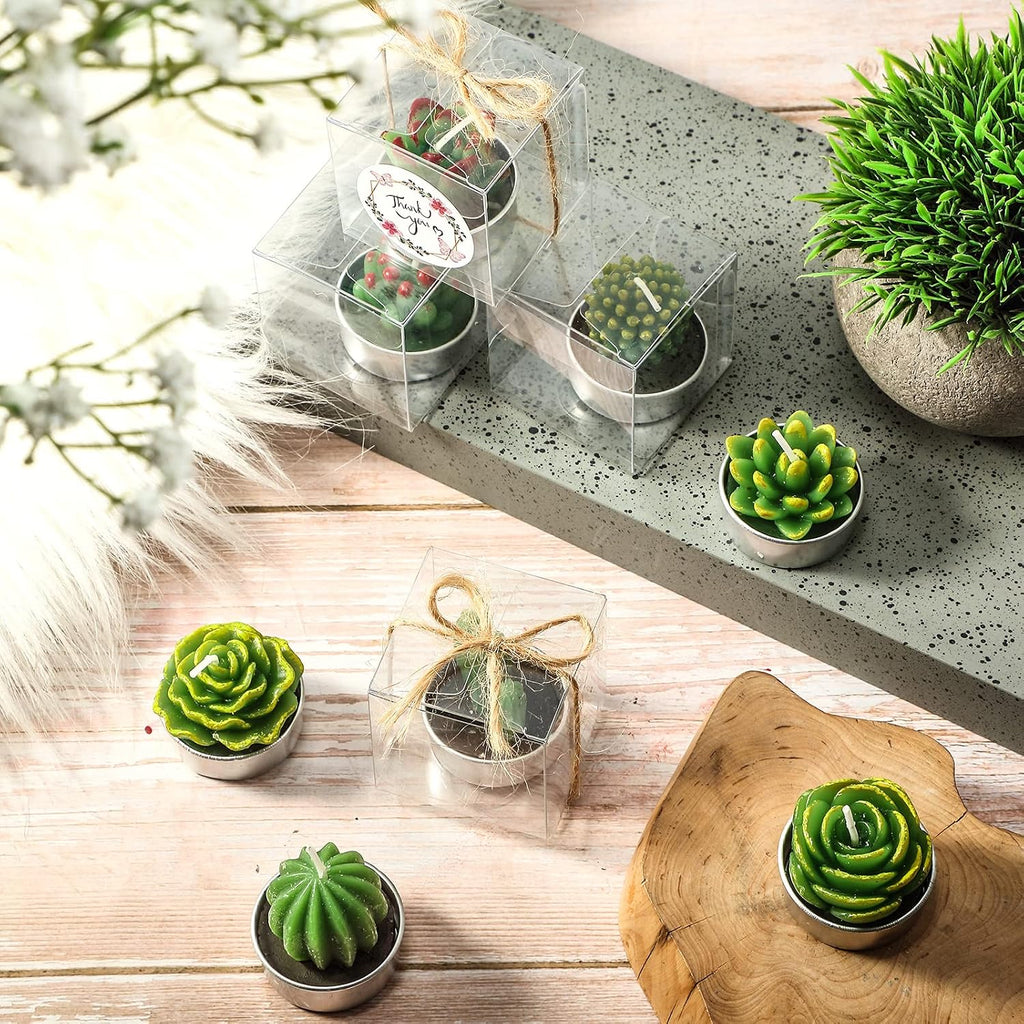 Qunclay 12 Sets Succulent Cactus Candle Party Favor Mini Succulent Tealight Candle Gift Smokeless for Wedding Graduation Birthday Party Anniversary Celebration Spa Home Decor