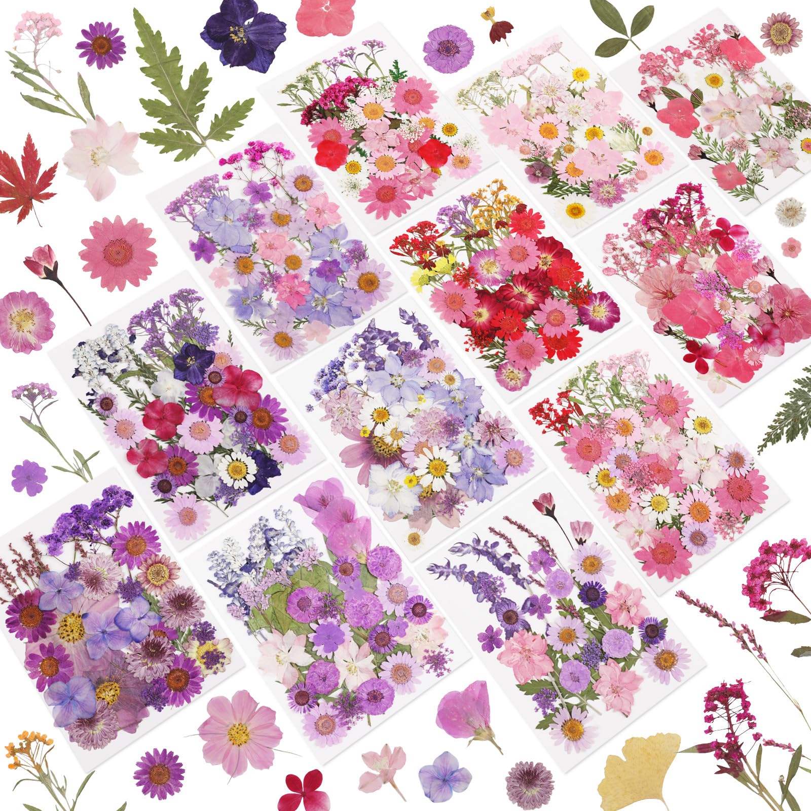 NESCCI 420 Pcs Dried Pressed Flowers for Resin,Real Nature Dried Flowers for Crafts Bulk Dry Flowers Leaves Kit Used for Resin Molds Scrapbooking DIY Art Crafts Candle Soap Making Nails Décor