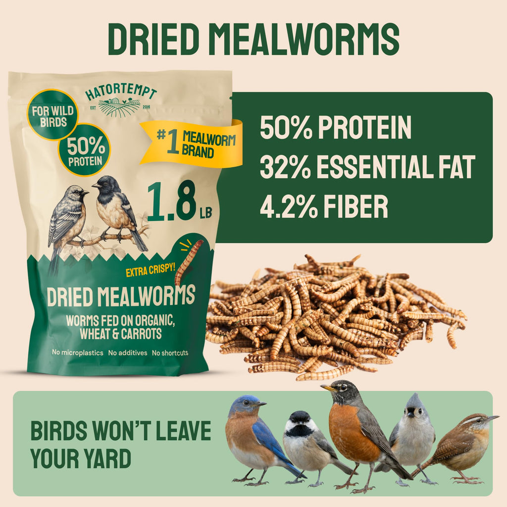 Hatortempt Bulk Dried Mealworms - 10 Lb Bag - Dried Mealworms for Chickens, Ducks & Wild Birds - High-Protein Chicken Feed & Bird Food