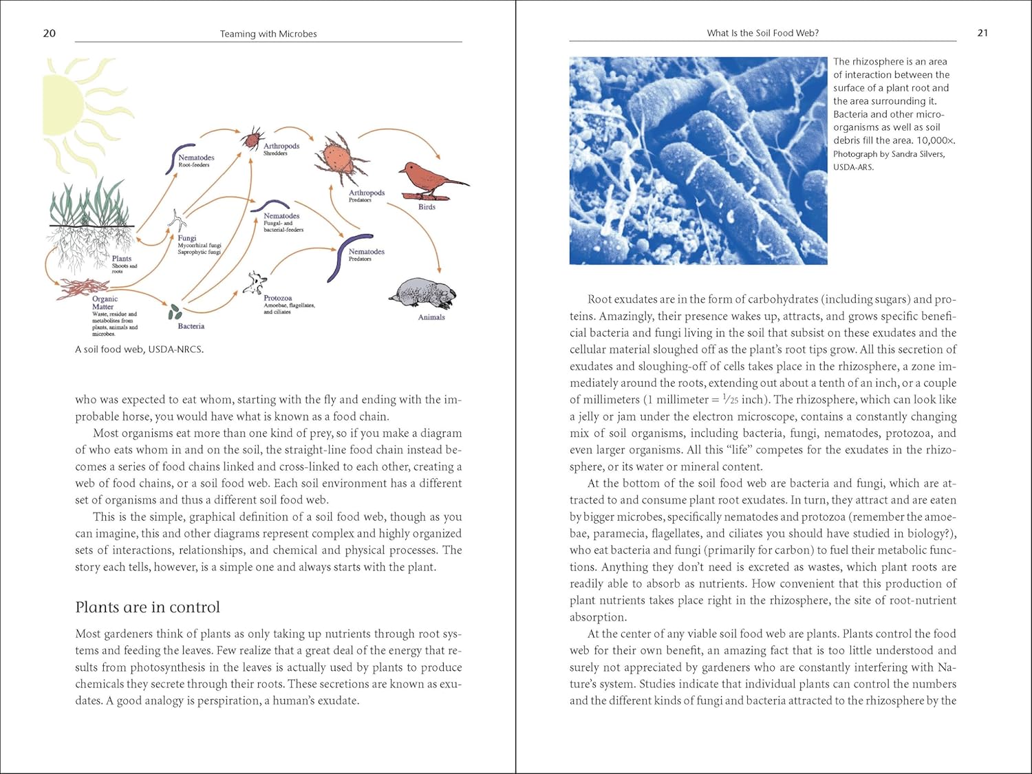 Teaming with Microbes: The Organic Gardener's Guide to the Soil Food Web, Revised Edition