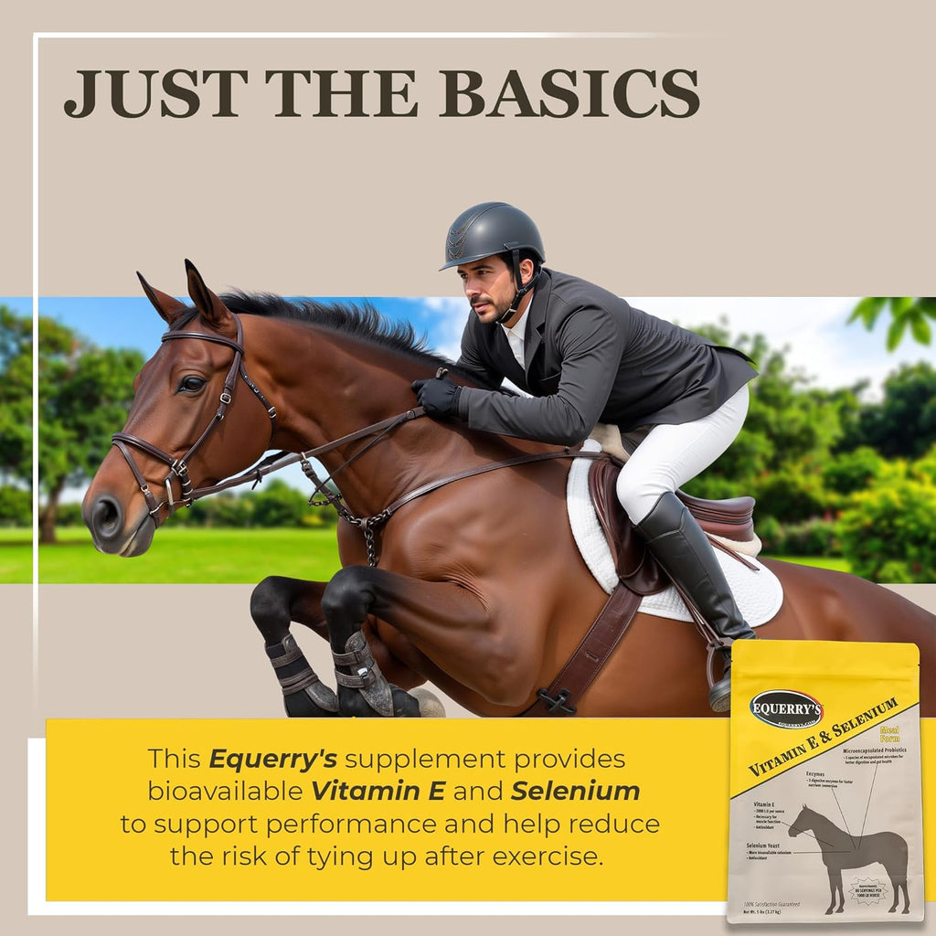 Equerry's Selenium and Vitamin E Supplement for Horses | Muscle Health & Antioxidant Support Horse Supplement | Meal Form | 5Ib Bag