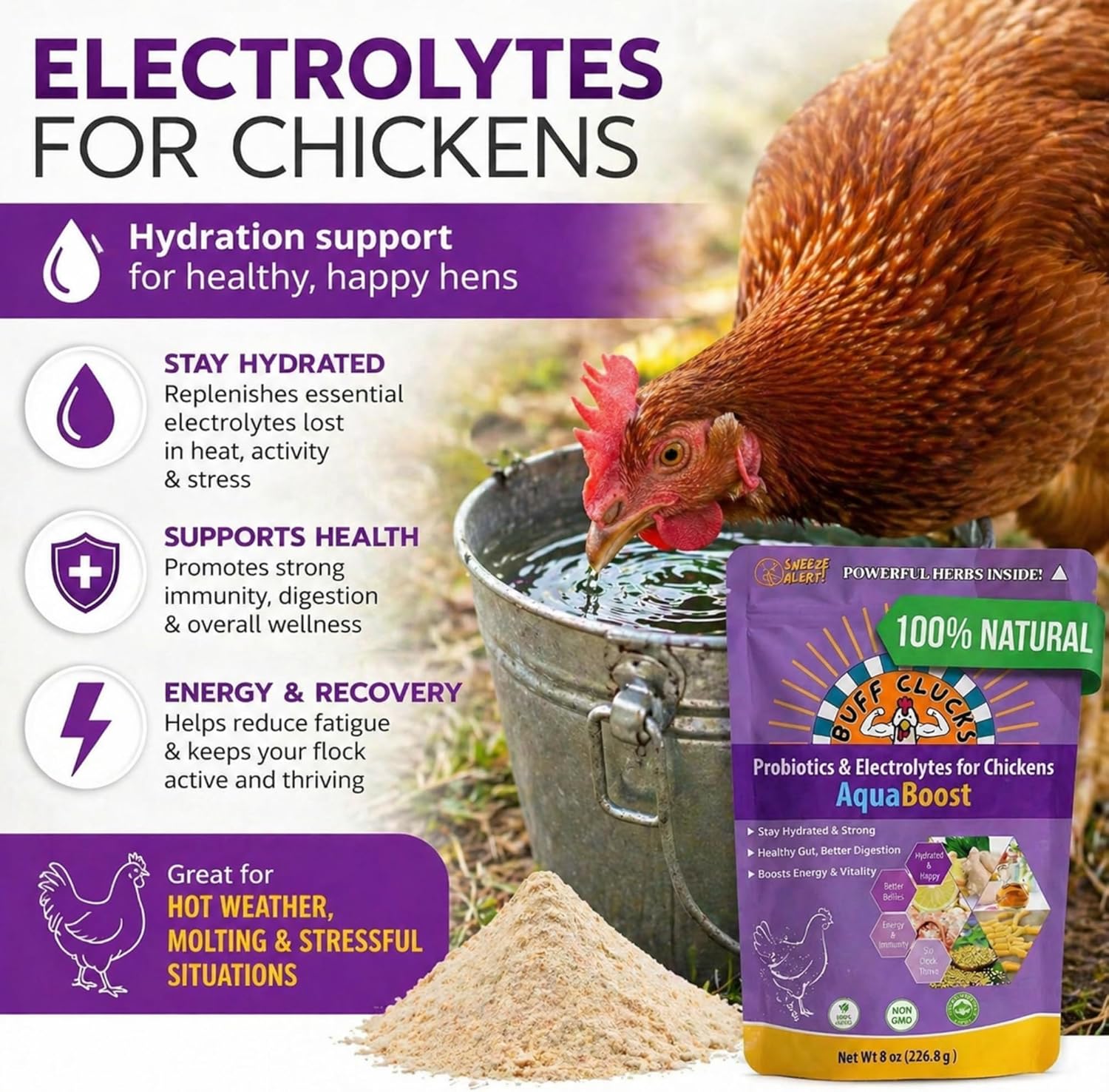 Buff Clucks AquaBoost Probiotic + Electrolyte Powder for Chickens – Natural Hydration & Gut Support Supplemnet for Daily Wellness & Egg Production - Safe for All Flocks & Ages - USA (8 oz)