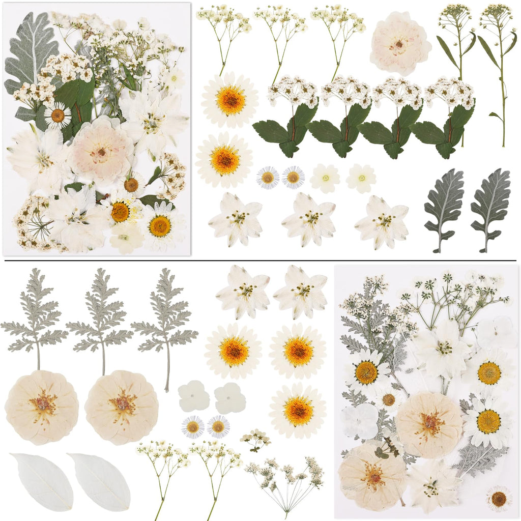 NESCCI 420 Pcs Dried Pressed Flowers for Resin,Real Nature Dried Flowers for Crafts Bulk Dry Flowers Leaves Kit Used for Resin Molds Scrapbooking DIY Art Crafts Candle Soap Making Nails Décor