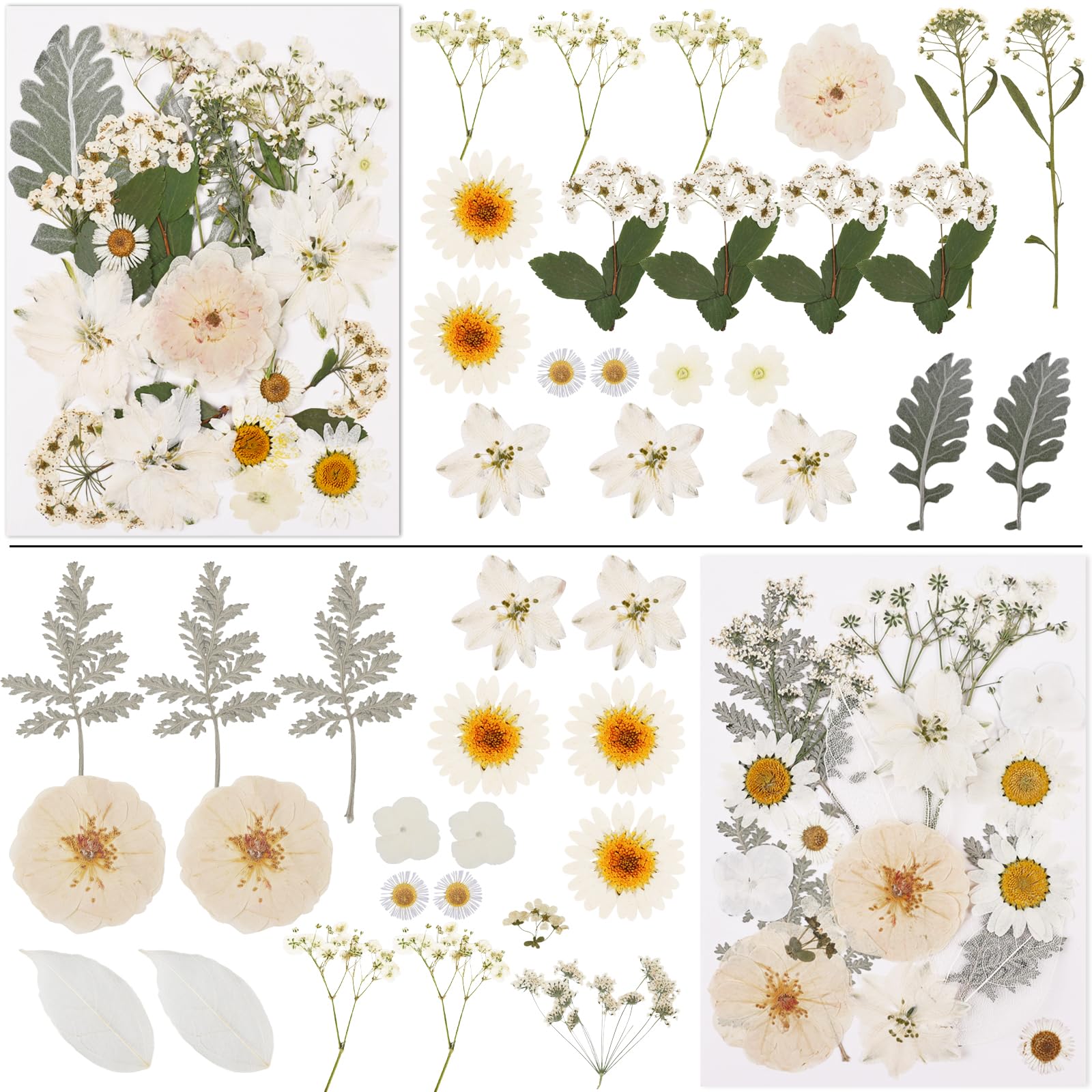 NESCCI 420 Pcs Dried Pressed Flowers for Resin,Real Nature Dried Flowers for Crafts Bulk Dry Flowers Leaves Kit Used for Resin Molds Scrapbooking DIY Art Crafts Candle Soap Making Nails Décor