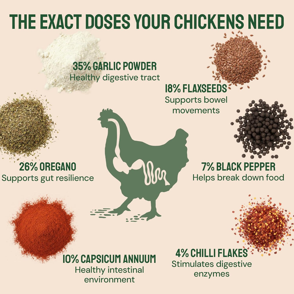 Hatortempt Chili Mix for Chickens - Intestinal Support Herbs for Chickens with Garlic, Oregano and Chili – Egg-Safe Poultry Herbs Mix (1lb)
