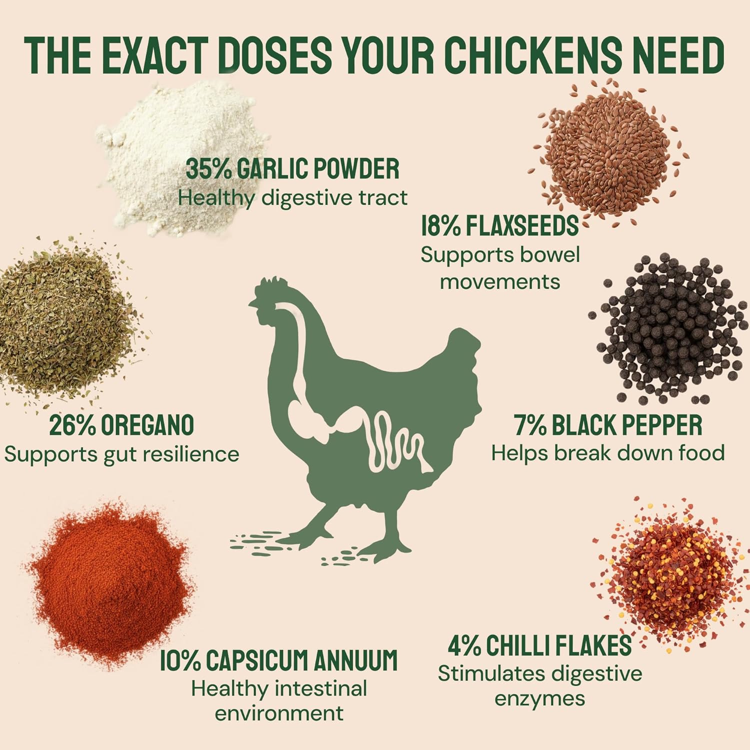 Hatortempt Chili Mix for Chickens - Intestinal Support Herbs for Chickens with Garlic, Oregano and Chili – Egg-Safe Poultry Herbs Mix (1lb)
