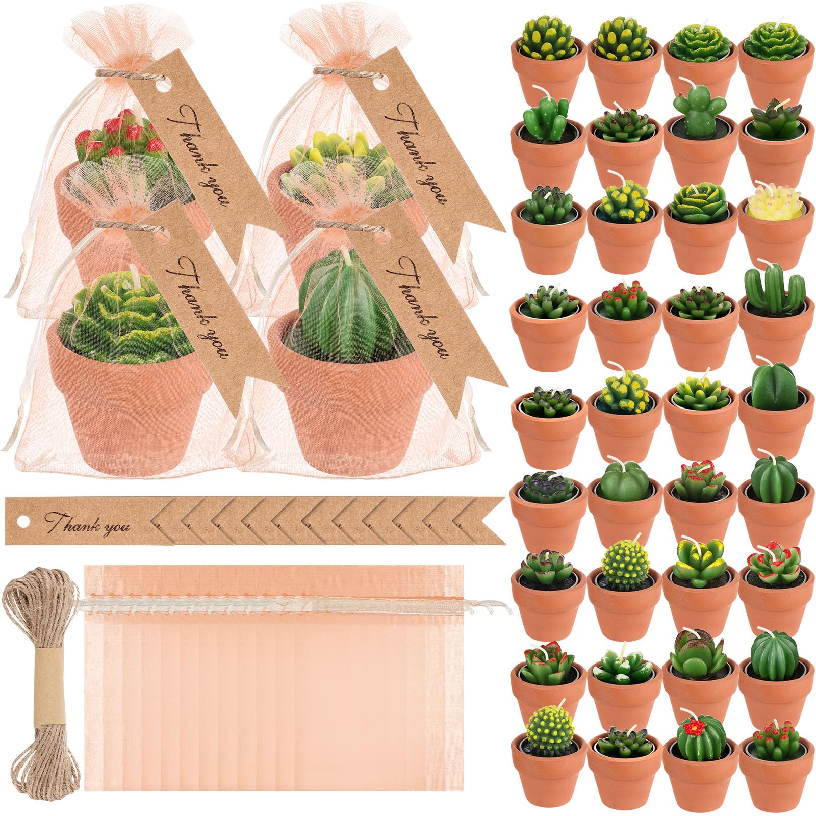 MTLEE 24 Pcs Succulent Tealight Candles - Wedding Party Baby Shower Valentines Gifts Birthday Pack with Terracotta Pot, Organza Bag, Tags, Twines